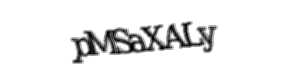 Security check image, please type the characters shown