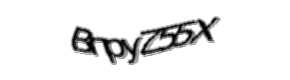 Security check image, please type the characters shown